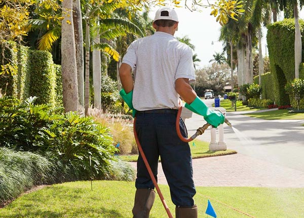 About Apollo Beach FL Pest Control Pros